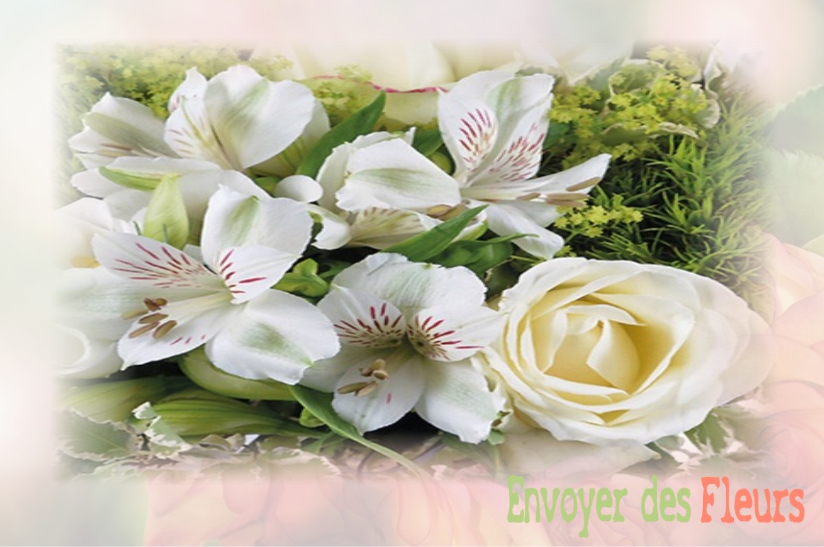 envoyer des fleurs à à VERNEUIL-SUR-VIENNE